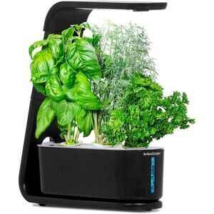 AeroGarden Sprout - Indoor Garden with LED Grow Light, Black
